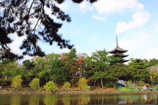 Kofukuji fromsarusawaike 1528089711